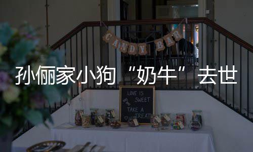 奶牛女儿狗小花痛哭孙俪世 去家小